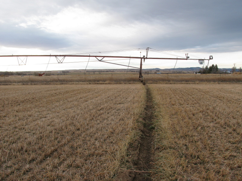 The furrow where the irrigation system runs