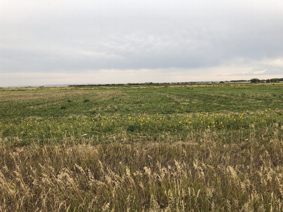 View to the East and the confluence