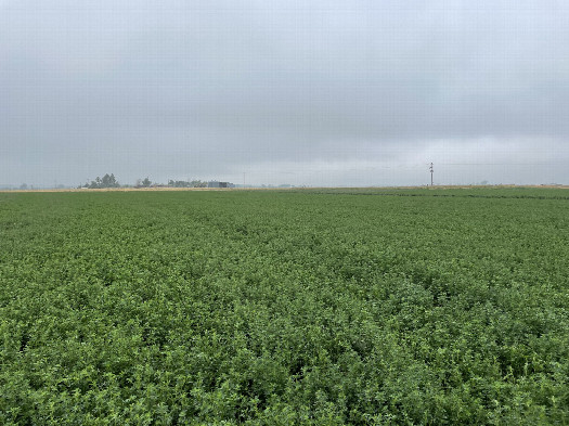 #1: View SW toward the confluence in the foreground