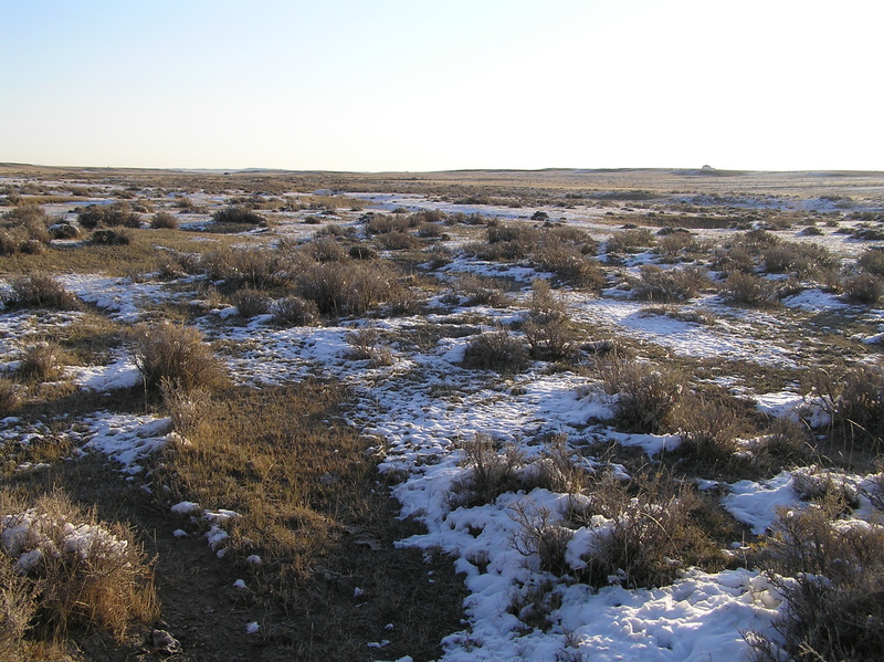 View to the east from the confluence.