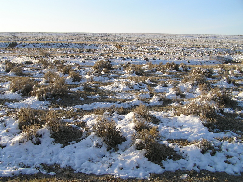 View to the south from the confluence.