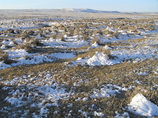 #1: Site of 42 North 106 west, in center foreground, looking south southwest.