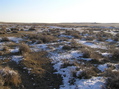 #3: View to the east from the confluence.