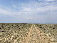 #10: Looking W along the two track trail on the way back to the car