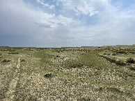 #9: Bend in the dry creek bed to the SE on the way back to the car