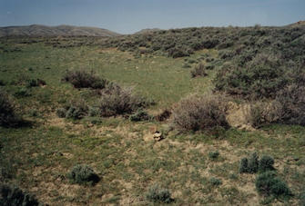 #1: Small rock cairn to mark confluence