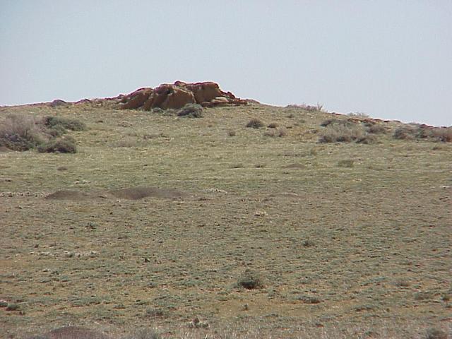 View to the east from the confluence.