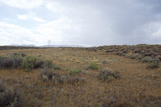 #1: The confluence point lies in a patch of sagebrush, in grassy ranchland.  (This is also a view to the West.)