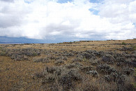 #3: View East