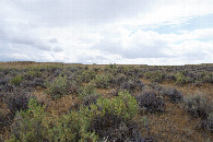#4: View South