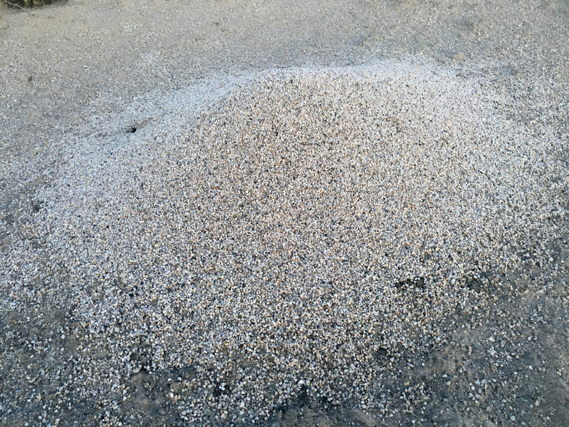 Ant hills
