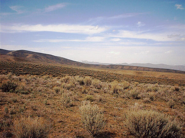 North: Sublette Mountain beyond the ridge.