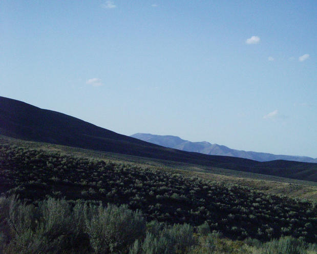 looking north from the confluence point