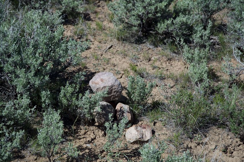 The confluence point lies amid sagebrush, on a small ridgetop