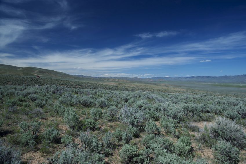 View North (towards the dirt road, 0.13 miles away)