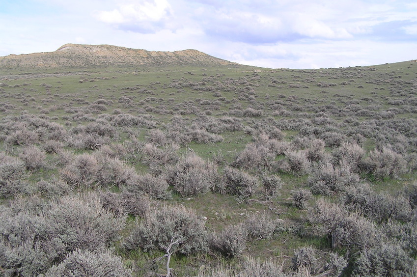 View to the east from the confluence.