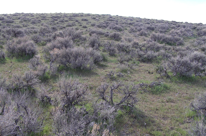 View to the west from the confluence point.