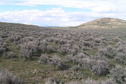 #3: View to the north from the confluence.