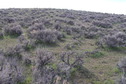 #6: View to the west from the confluence point.