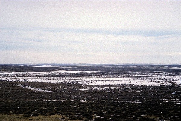 View east