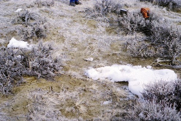 The only rock we could find to mark the confluence