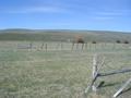 #3: West - Sage-covered hills hide the Salt Range