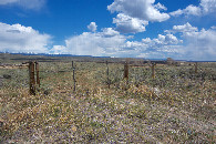 #8: This doubletrack farm road - 0.45 miles from the point - took me towards the point