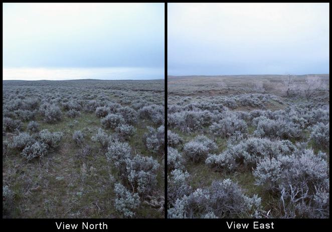North and East Views