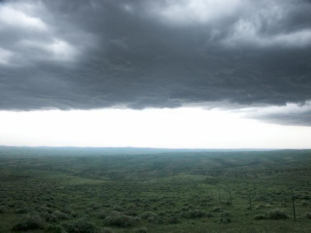 In the Storm