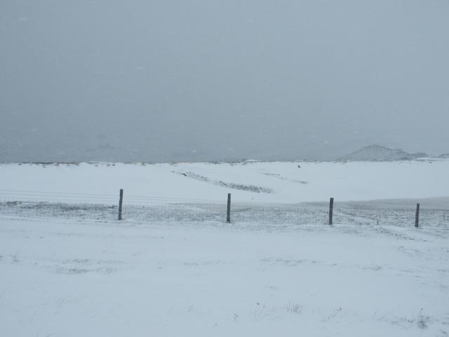 Snowstorm