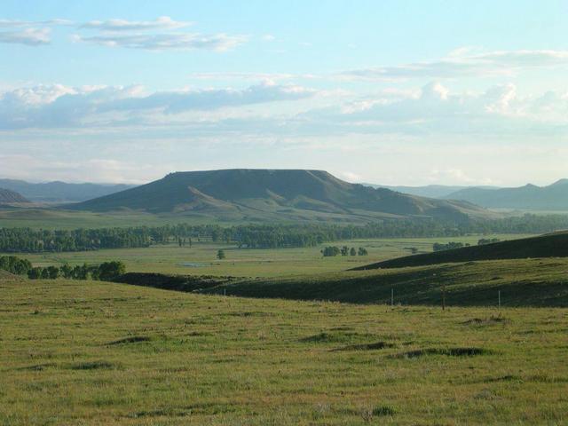 Looking E from top of gully (opposite confluence).