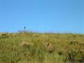 #4: Looking West from site, cannot see over top of gully.