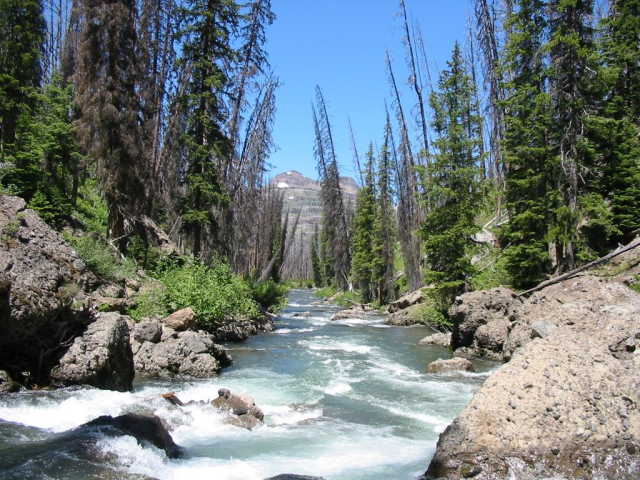 Headwaters of the Yellowstone River, looking North.  The confluence is about 400 yards up the hill to the left.