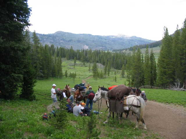 Our group entering the Soda Fork Meadows, 5 miles in.