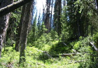 #1: At the confluence, looking west.