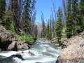 #5: Headwaters of the Yellowstone River, looking North.  The confluence is about 400 yards up the hill to the left.