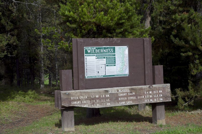 The Coyote Meadows Trailhead, entering the Jedediah Smith Wilderness.  This is less than 0.4 miles from the confluence point.