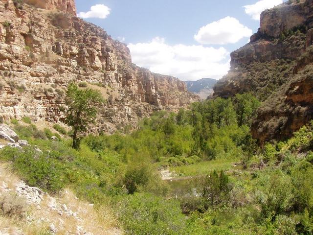 Looking up the canyon to the confluence