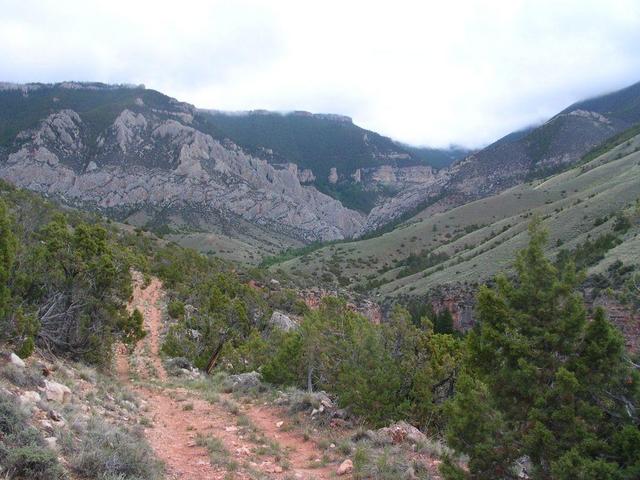 The confluence site, located on the N side of a steep canyon.  Picture is taken looking generally East.