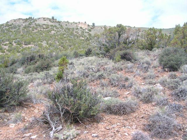 Looking North from site, up one of the area’s rugged hills.