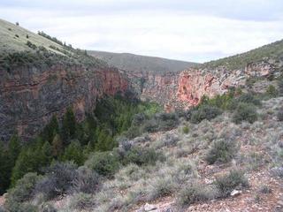 #1: Looking West from site provides the best view of the canyon near the site.