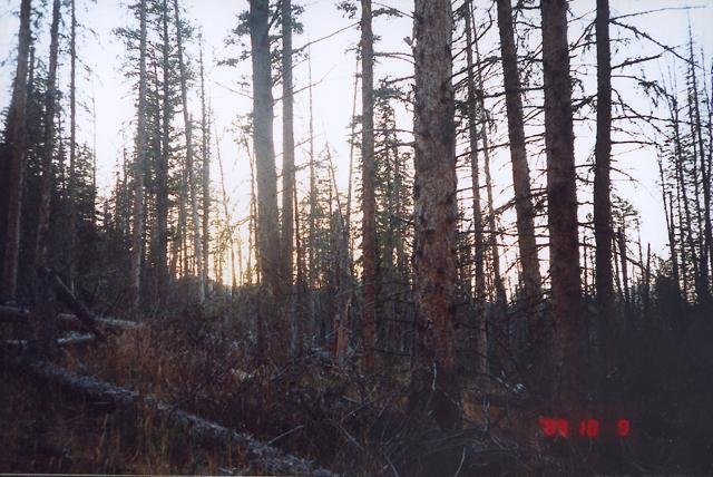 Facing west into the setting sun
