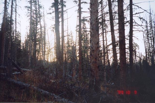 Facing west into the setting sun