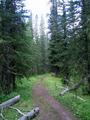 #7: Along the trail