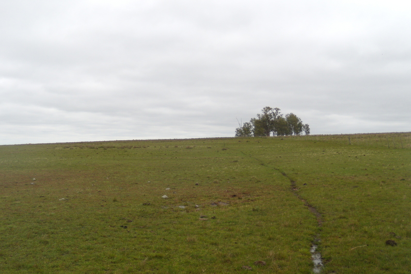 Vista hacia el oeste - View to the west