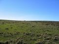 #2: looking north