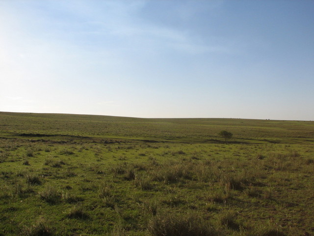 The confluence point view