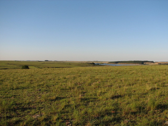 North view from the confluence point