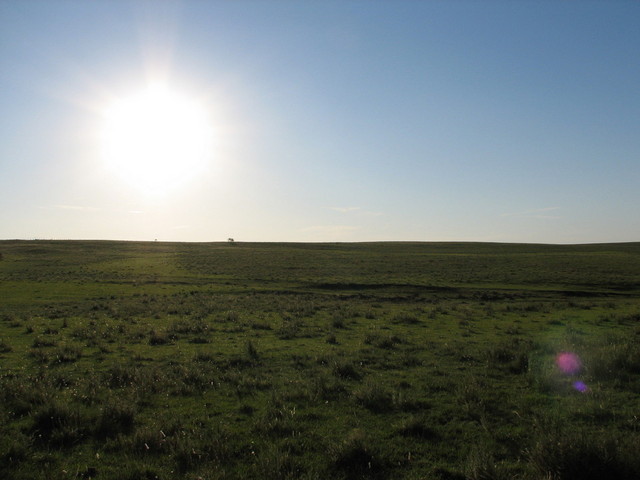 West view from the confluence point