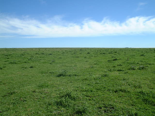 View to the North